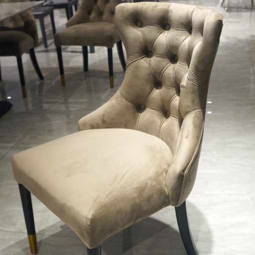 Dining Chair (DC059)