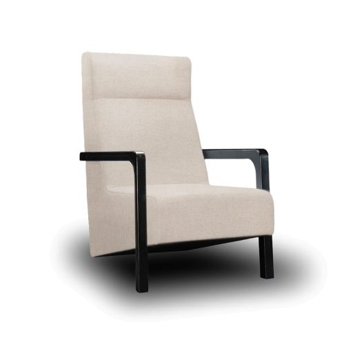 Leisure Chair (LCC517)